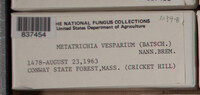 Image Associated With the Occurence